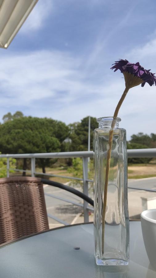 Alojamento Local Verde E Mar Comporta Kültér fotó