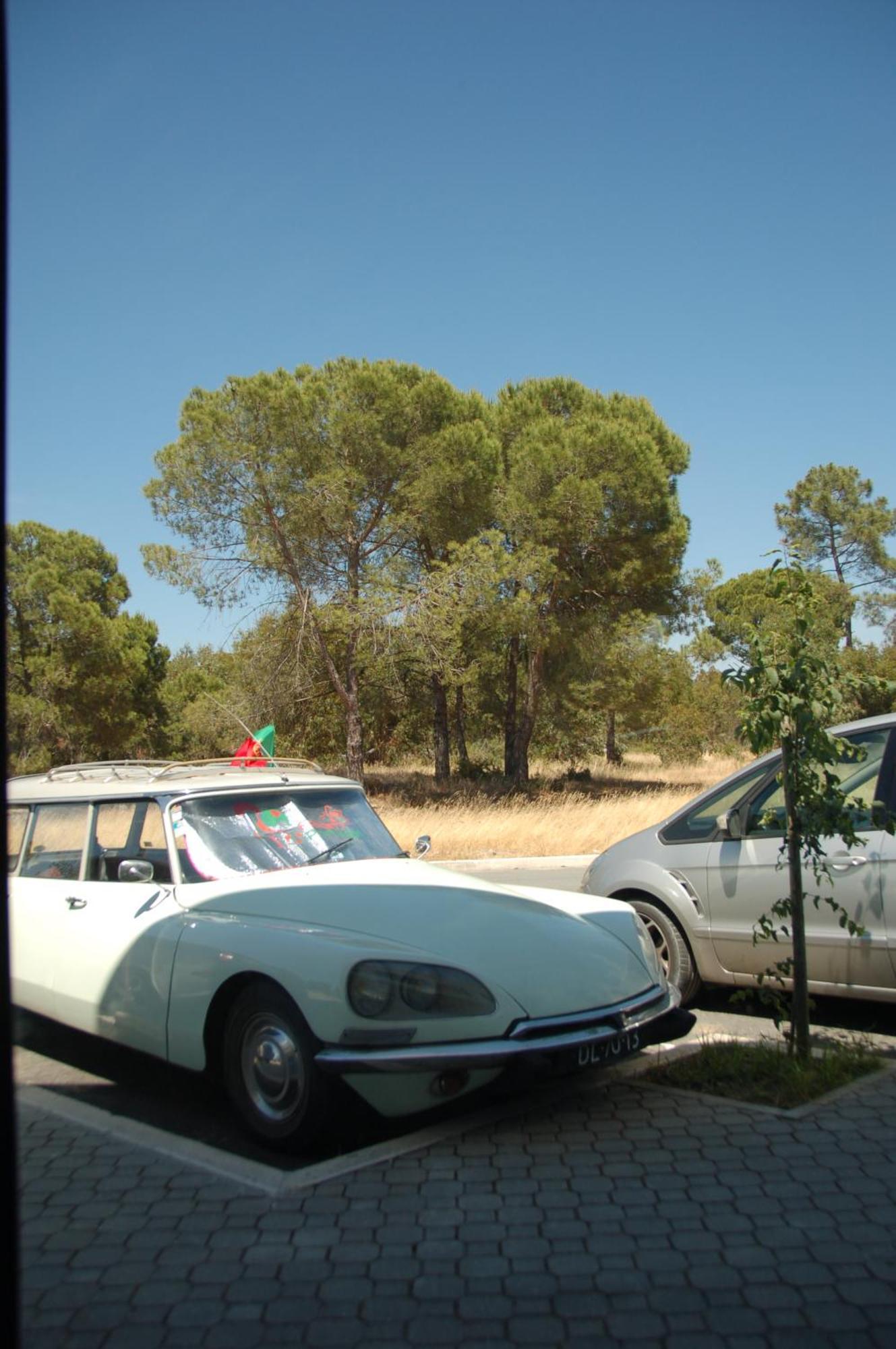 Alojamento Local Verde E Mar Hotel Comporta Kültér fotó